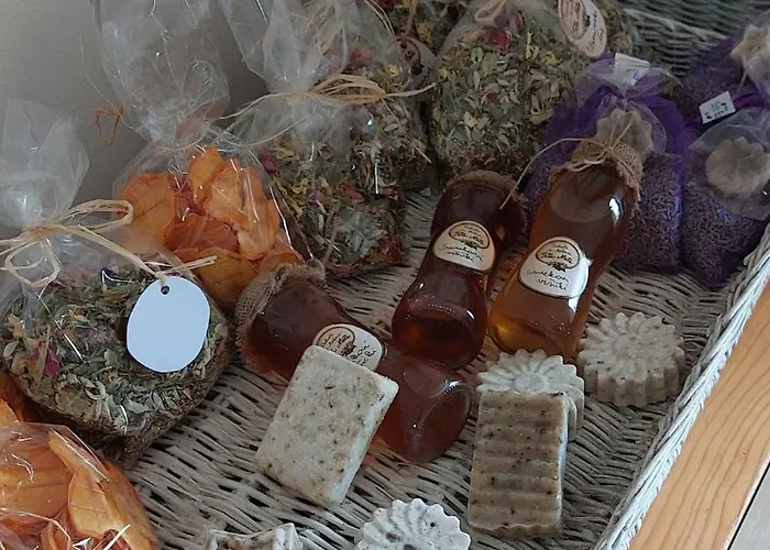 Apartmán Being Eco In